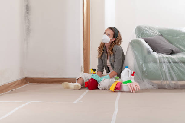 Reliable Mold Remediation contractor in Saint Petersburg, FL by Mold Remediation HQ